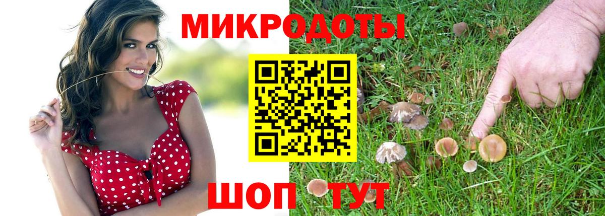 Галлюциногенные грибы Psilocybe  Вход с VPN  Зеленодольск 