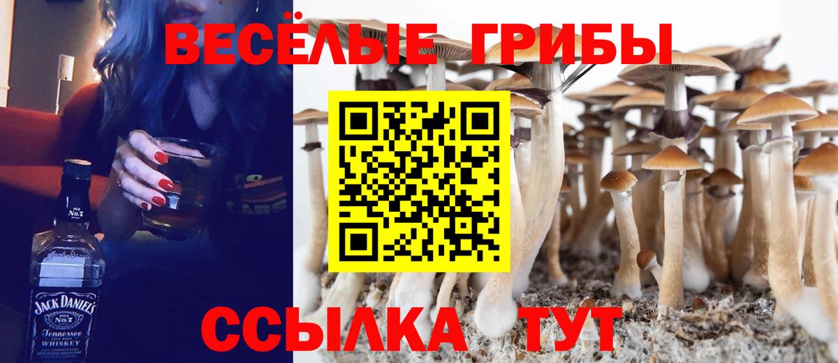Псилоцибиновые грибы прущие грибы Зеленодольск